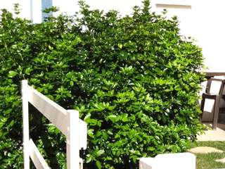 Divers locations 2 pièces