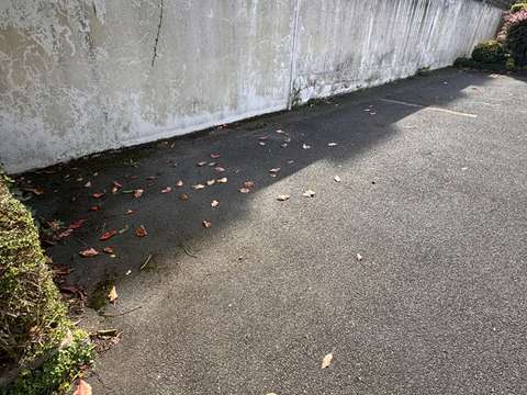 Location garage box et parking