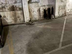 Location Garage box et parkingNantes Centre Ville