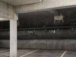 Location Garage box et parking 1 m&sup2;Nantes Saint-Clément - Jardin des plantes