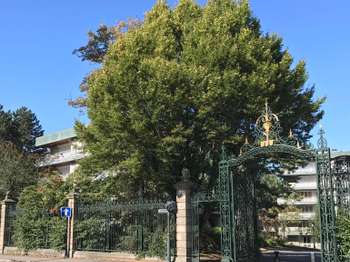 Location garage box et parking Rennes 35