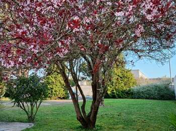 Location Maison 5 chambresAytré