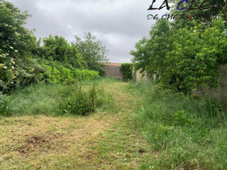 Location maison 7 pièces