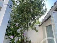 Location maison 4 pièces