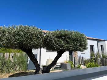 Location Maison 3 chambresBrem-sur-Mer