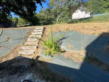 Location maison 3 pièces