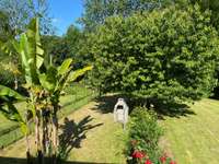 Location maison 6 pièces