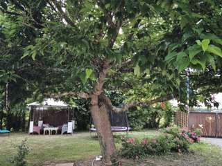 Location maison 6 pièces