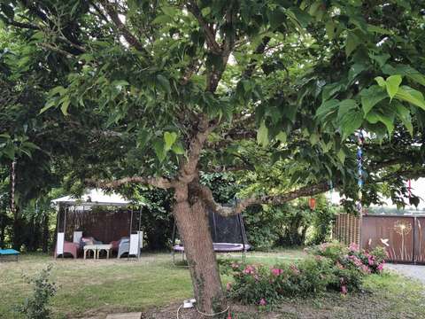 Location maison 6 pièces