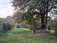Location maison 5 pièces