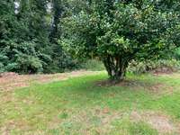 Location maison 4 pièces