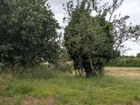 Location maison 3 pièces
