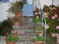 Location maison 3 pièces