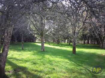 Location maison 8 pièces