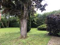 Location maison 7 pièces