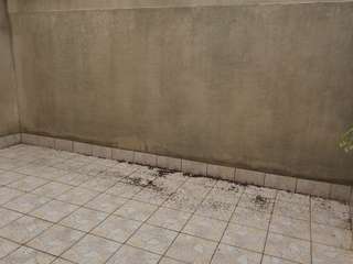 Location maison 2 pièces