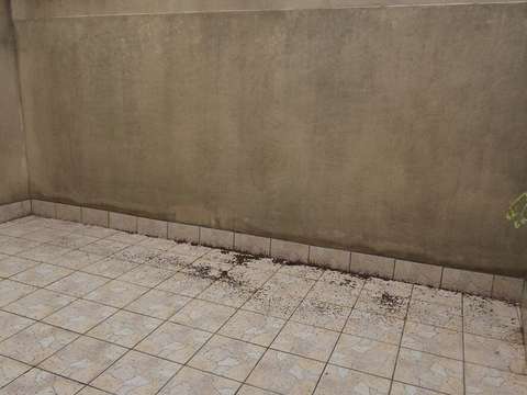 Location maison 2 pièces
