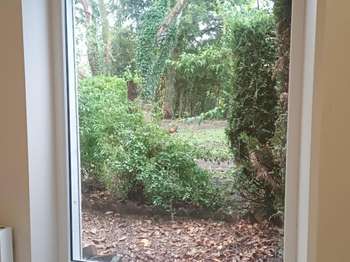 Location Maison 2 chambresLivarot-Pays-d'Auge