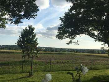 Location maison 4 pièces