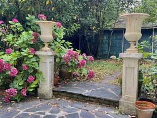 Location maison 9 pièces