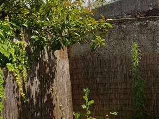 Location maison 2 pièces