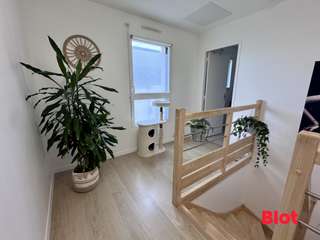 Location maison 5 pièces
