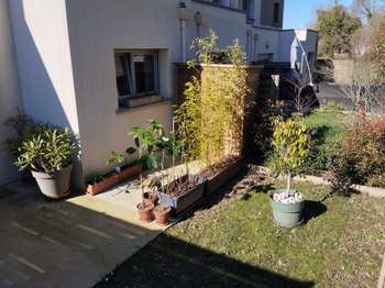 Location Maison 3 chambresPacé