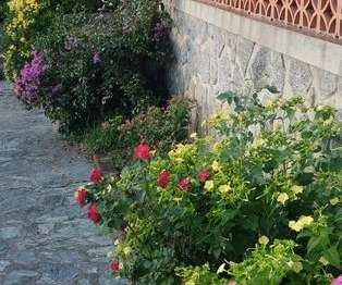 Location Maison 3 chambresPetreto-Bicchisano