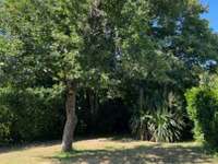 Location maison 4 pièces