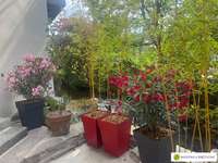Location maison 5 pièces
