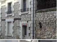 Location maison 3 pièces Location maison 3 pièces