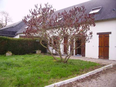 Location maison 2 pièces Rolleville 76