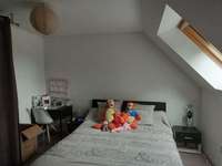 Location maison 6 pièces