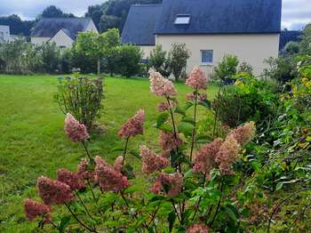Location maison 3 pièces