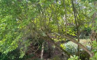 Photo Location maison Saint-Brieuc