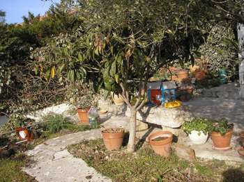 Location maison 4 pièces