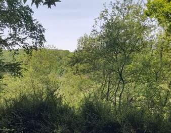Location Maison 1 chambreSaint-Hilaire-du-Harcouët