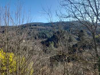 Location maison 4 pièces