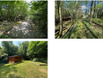 Location maison Saint-Pierre-Montlimart - 49