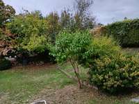 Location maison 6 pièces
