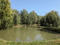 Location maison 9 pièces