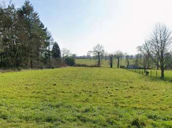Location Terrain 2100 m&sup2;Noyal-Châtillon-sur-Seiche