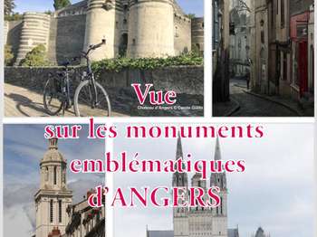 Photo Vente appartement Angers