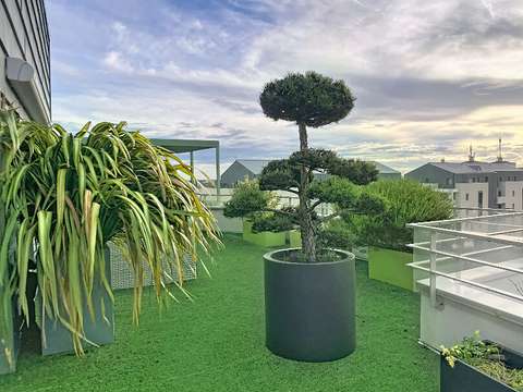 Vente appartement 5 pièces