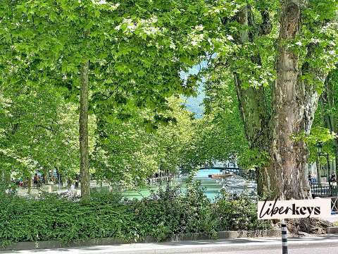 Vente appartement 8 pièces Annecy 74
