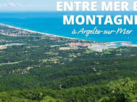 Vente appartement 2 pièces Argelès-sur-Mer 66