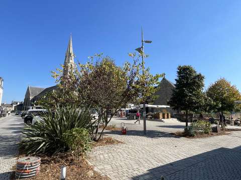Vente appartement 4 pièces Arradon 56