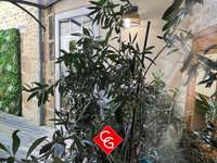 Vente appartement