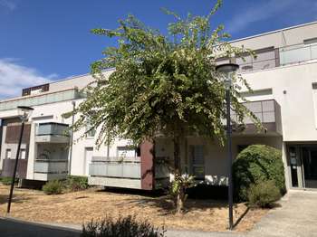 Vente Appartement 2 piècesBeautour