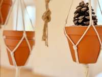 Vente appartement 6 pièces Vente appartement 6 pièces